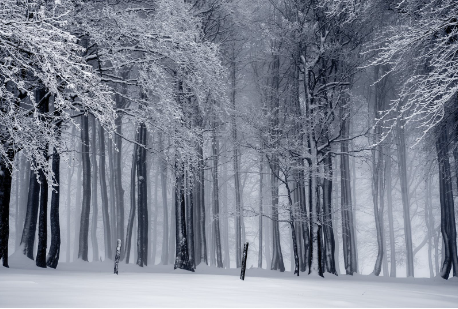 哈尔滨博世地 暖BOSCH今天天气